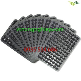 Combo 10 khay nhựa ươm cây 104 lỗ