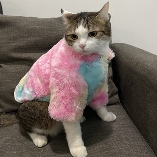 ✨✨ Áo khoác lông cho chó mèo ✨✨