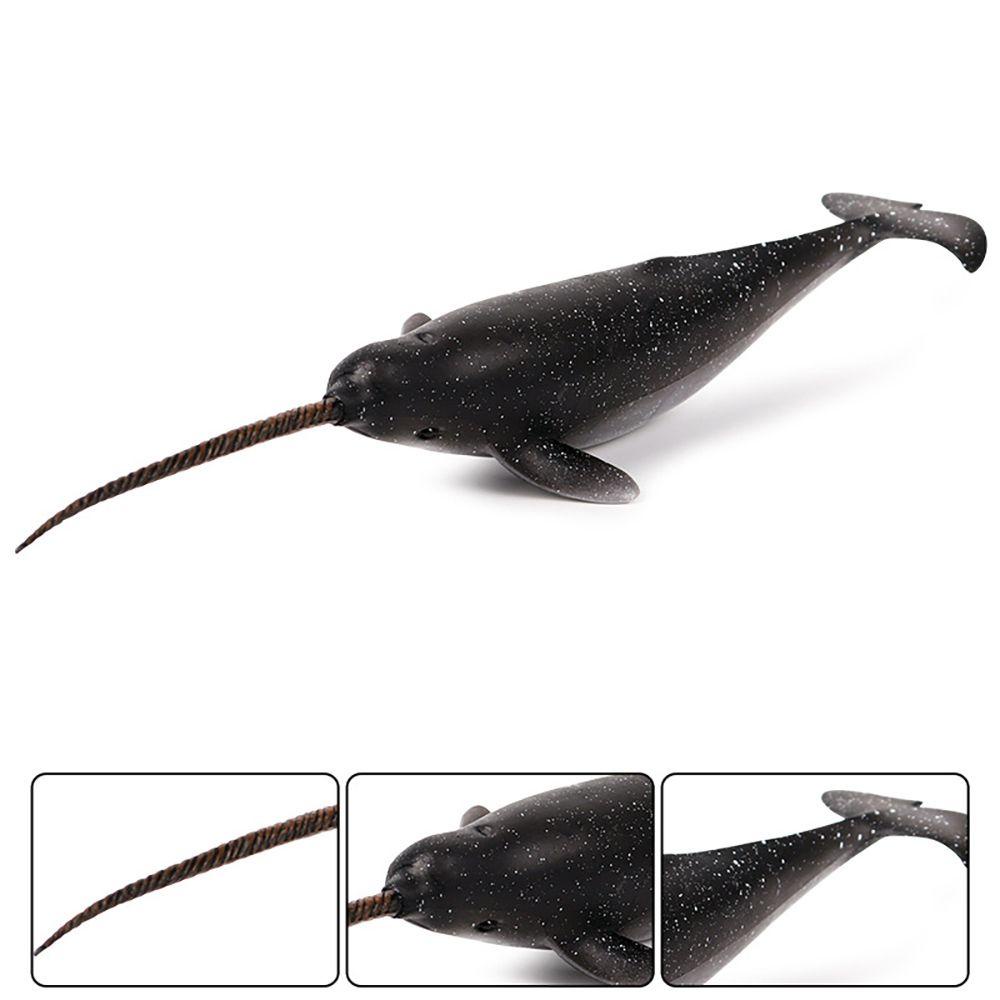 Mô Hình Narwhal Đồ Chơi Giáo Dục Khoa Học Tự Nhiên