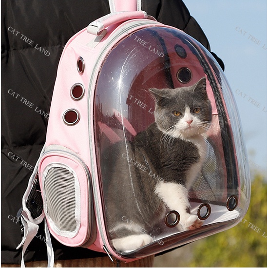 BALO VẬN CHUYỂN CHÓ MÈO, BA LÔ PHI HÀNH GIA TRONG SUỐT - LỒNG, TÚI VẬN CHUYỂN THÚ CƯNG