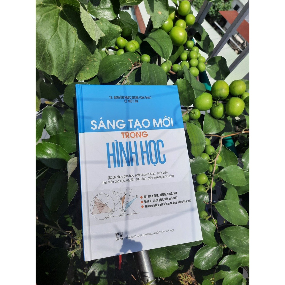 Sách Sáng tạo mới trong hình học