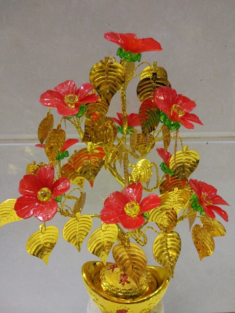 Lá đồng tiền ( 1 gói 100 gram)