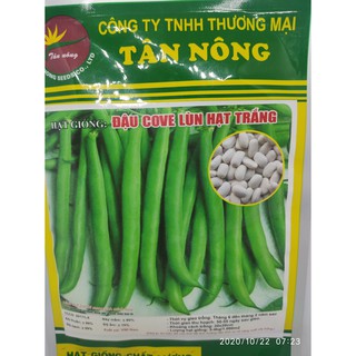 Hạt giống đỗ cove lùn hạt trắng Tân Nông