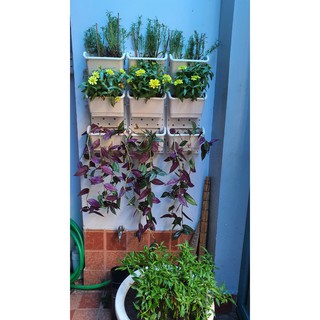 Combo 3 khung 9 chậu vườn tường trồng rau trồng hoa(ĐEN-XANH LÁ-XANH DƯƠNG-TRẮNG)