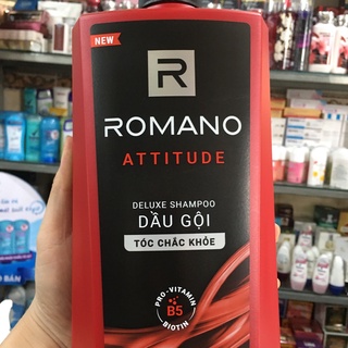 Dầu gội Romano Attitude 650g