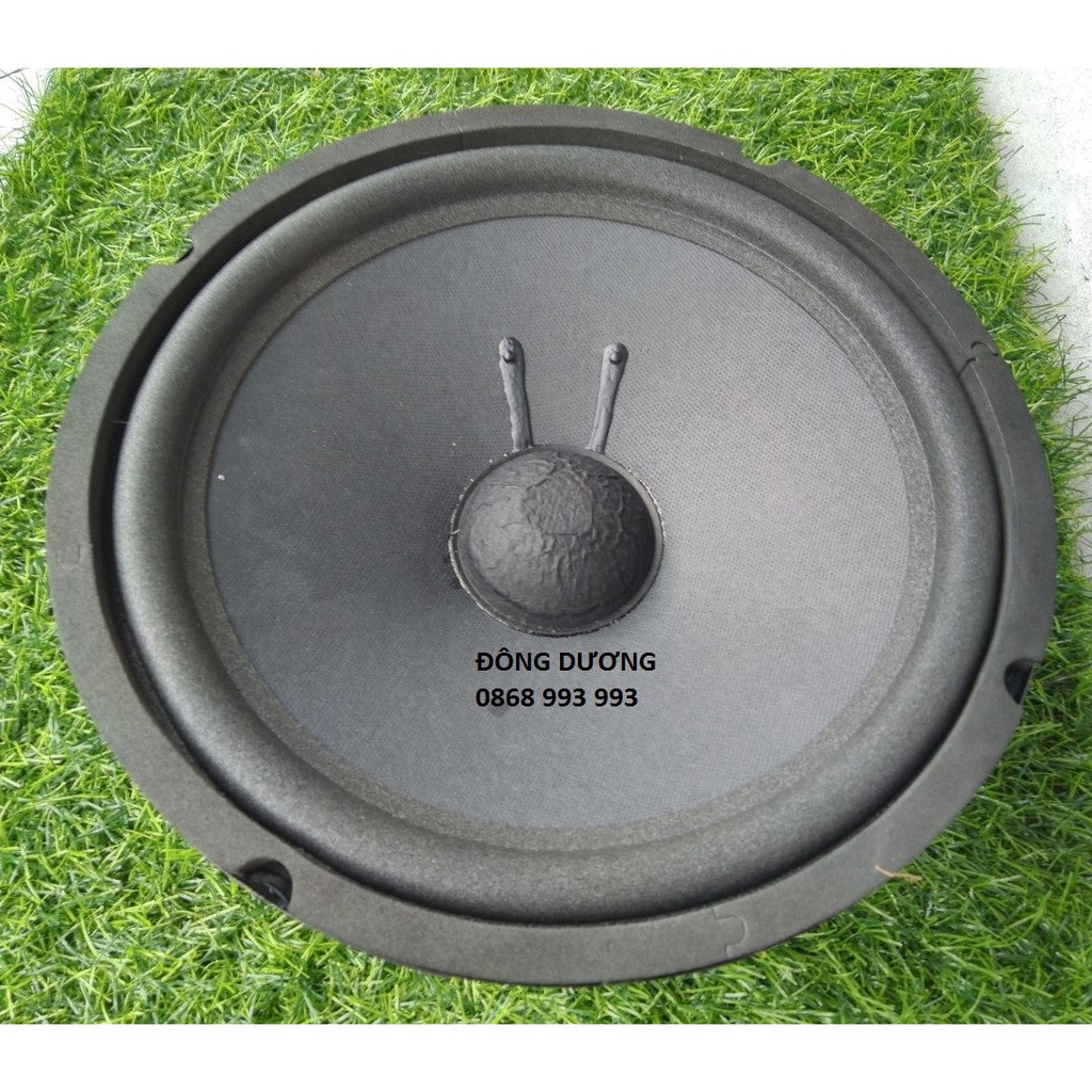 CẶP LOA BASS 25 FULL TỪ KÉP 113 - 100 GIÁ RẺ