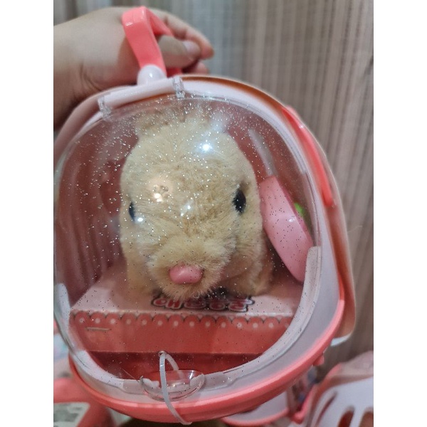 ĐỒ CHƠI NHÀ (LỒNG) KÈM THÚ CƯNG NHỒI BÔNG BIẾT ĐI, VẪY ĐUÔI LOẠI ĐẸP, CÓ CÚN, THỎ,HEO...NHIỀU MẦU ĐỂ LỰA Ạ