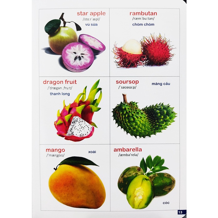 Sách - Bách khoa bằng hình đầu tiên cho bé Đại Mai book - Tập 3 - Quét mã QR để nghe đọc