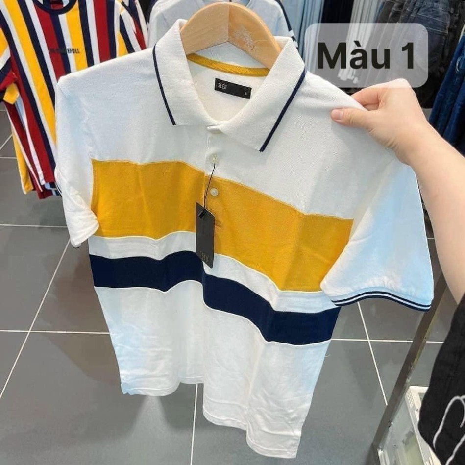 (Si Tan Goc) Áo Cổ Đức Phối Trắng Hàng Xuất Dư Nam