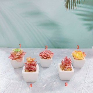 Sen đá giả mini