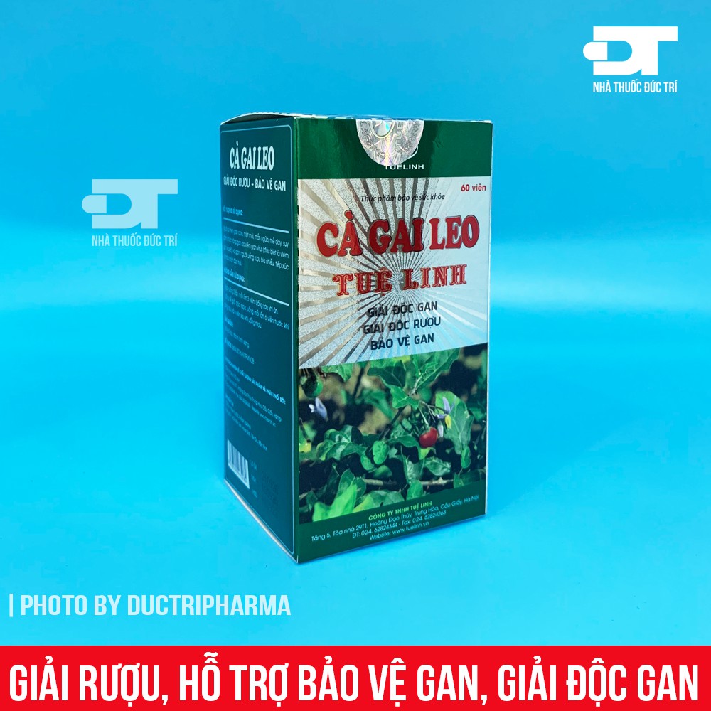 [CHÍNH HÃNG] Cà gai leo Tuệ Linh - Giải độc gan, Giải độc rượu, Hỗ trợ bảo vệ gan - [ Quầy Thuốc Bảo Lâm ]