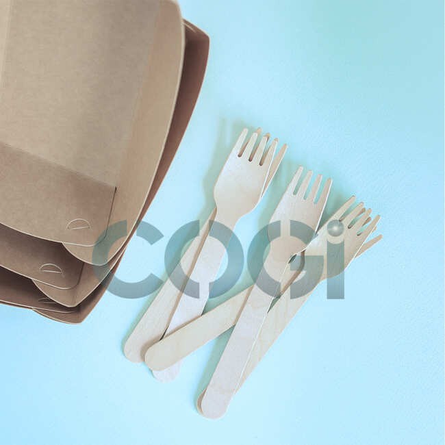 50 Set muỗng nĩa dùng một lần có kèm tăm và khăn giấy