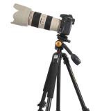 Chân máy ảnh Tripod Beike Q-303