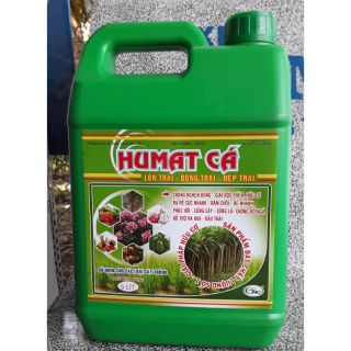Thuốc tưới kích rễ Humat Cá