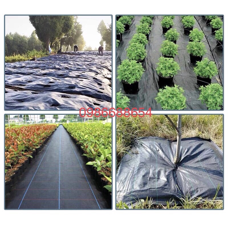 Bạt  phủ cỏ dùng trong  nông nghiệp (khổ 0,5m dài 200m)
