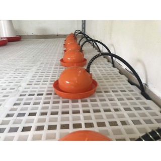 Máng Uống Gà Con - Chim Cút - Vịt - Ngan