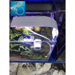 Đèn kẹp bể cá m280 đổi màu- đèn cho hồ cá cảnh giá rẻ- đèn đổi màu kẹp thành hồ m 280- đèn cho hồ cá