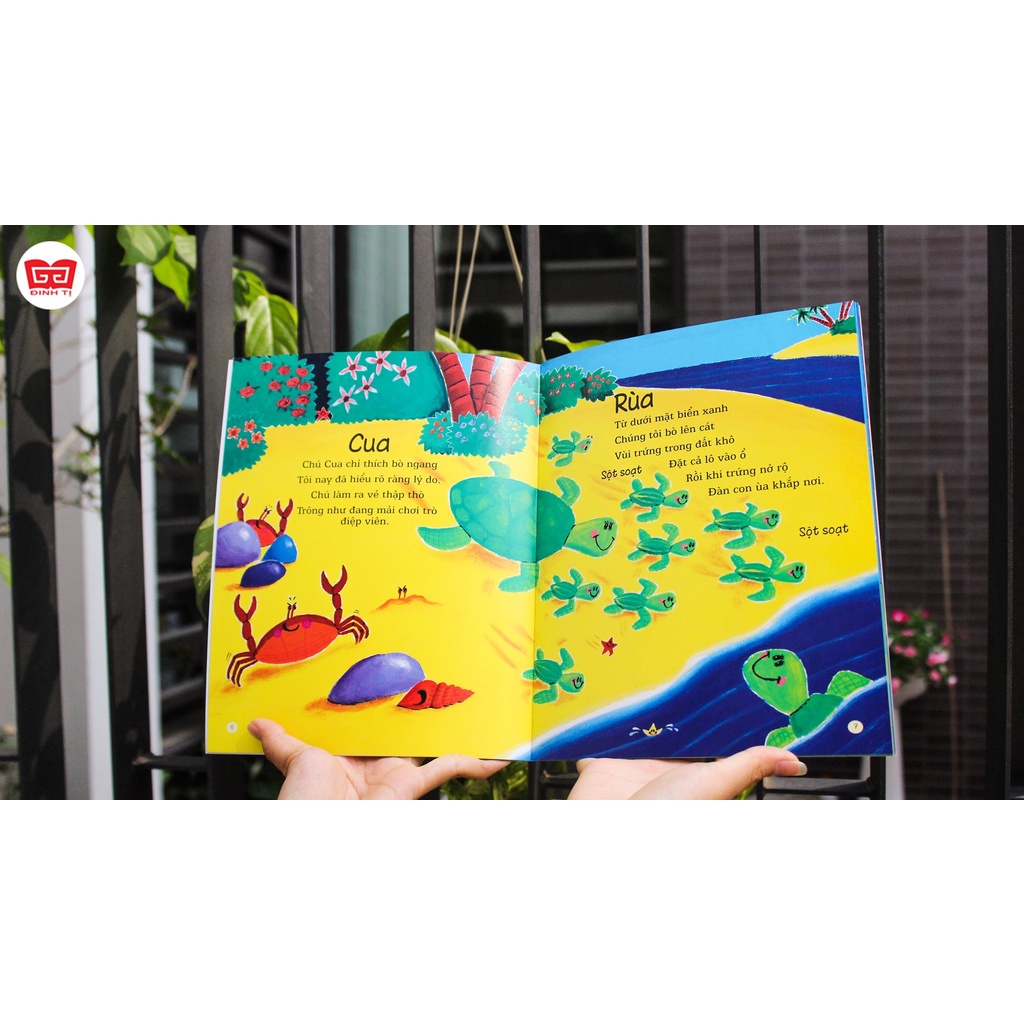 SÁCH - Vũ điệu của muôn loài - Nơi đại dương náo nhiệt