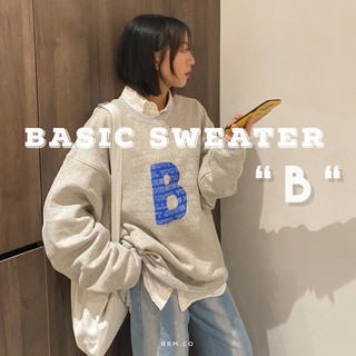 Áo basic sweater “ b “