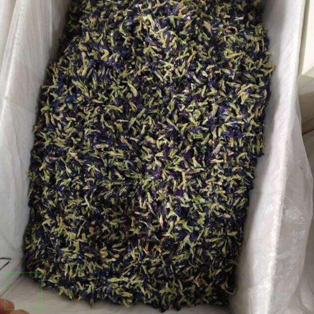 1kg Trà Hoa đậu biếc khô nguyên bông hàng đẹp