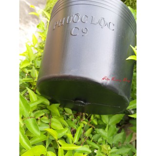 Chậu Nhựa Đen C9 Bít Lỗ