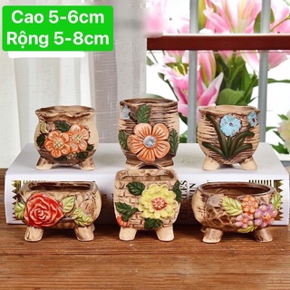 Chậu gốm trồng sen đá , xương rồng mini