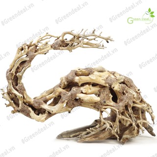 Bonsai Driftwood (GH-BS/13) | Lũa Bonsai trang trí hồ cá thủy sinh