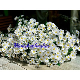 Hoa Giả- Cúc Hoạ Mi hàng đẹp 25bông - Hoa Giả Trang Trí - Cắm Hoa Để Bàn Xinh Xắn.