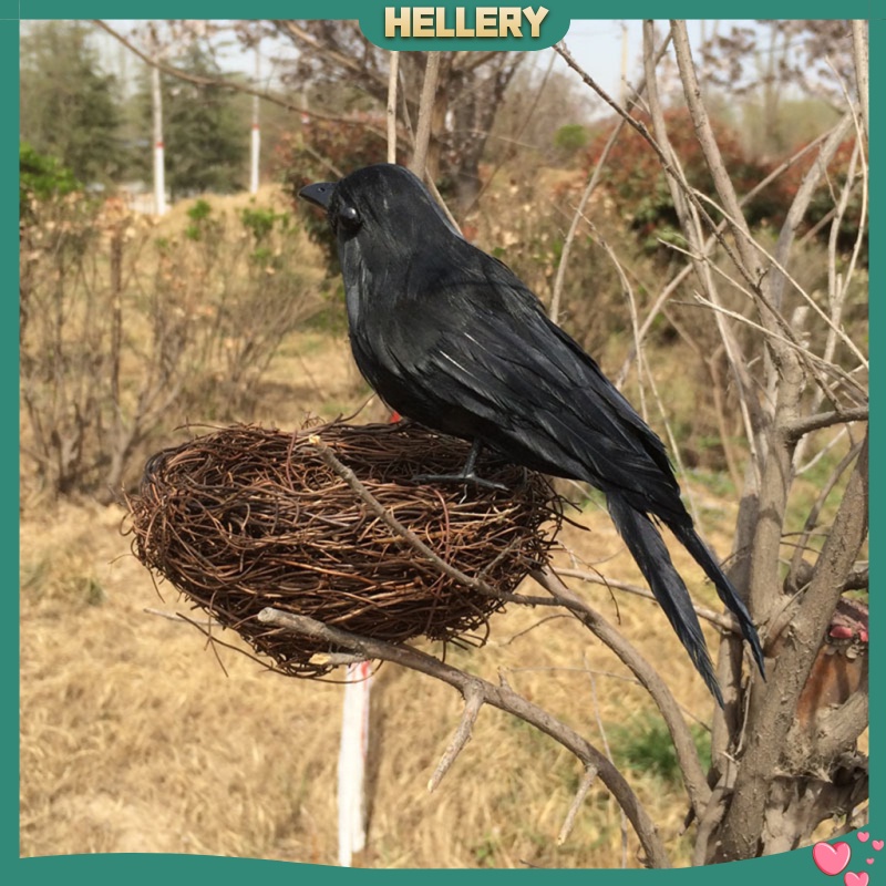 Set 6 Chú Chim Nhồi Bông Màu Đen Dùng Làm Đạo Cụ Hóa Trang Halloween