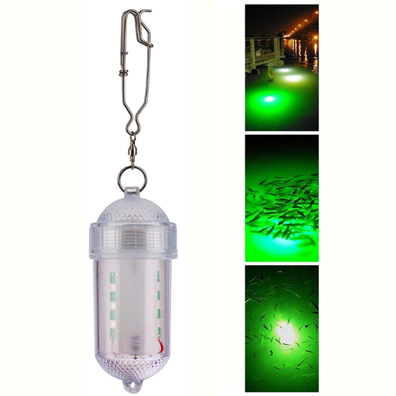 QQ Đèn LED 12 Bóng Siêu Bền Chống Thấm Nước Để Câu Cá Vào Ban Đêm