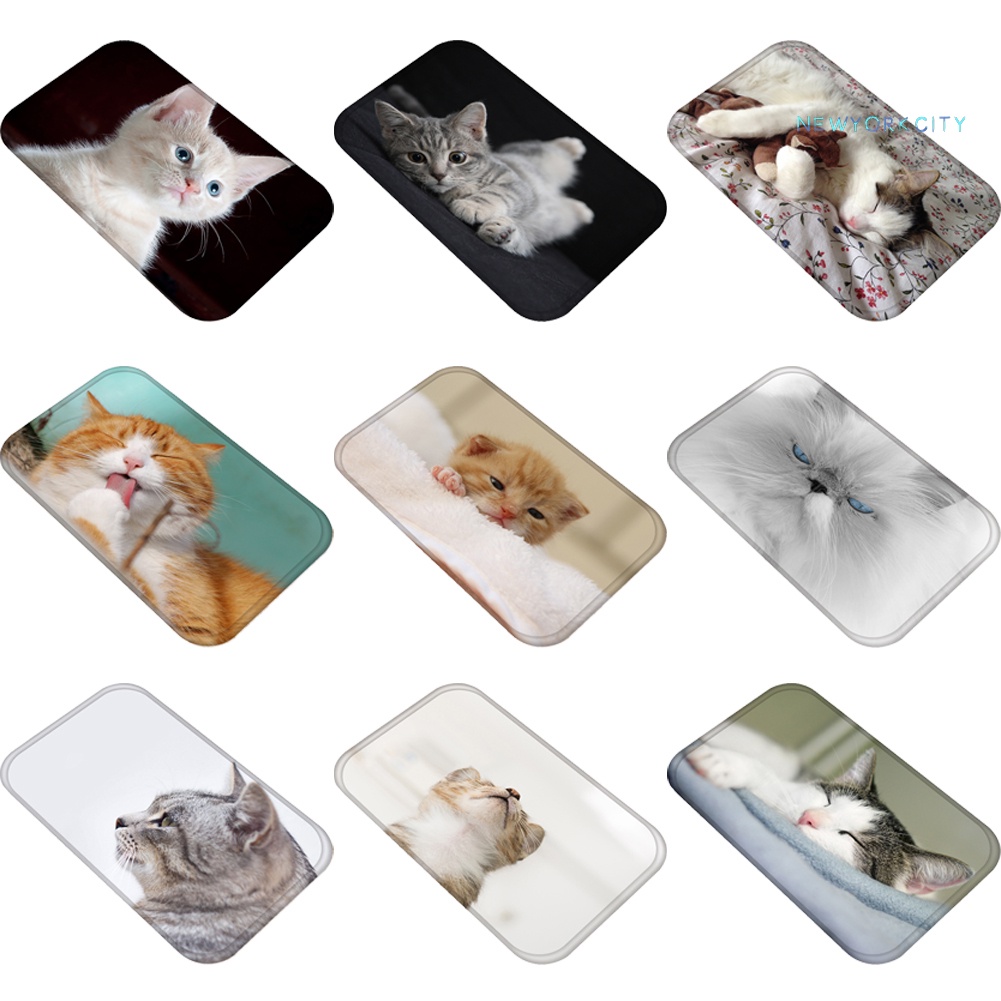 Thảm lót cửa chùi chân Chống Trượt In Hình Mèo 3D