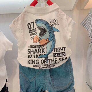 Sét áo phông cá mập quần jeans bé trai