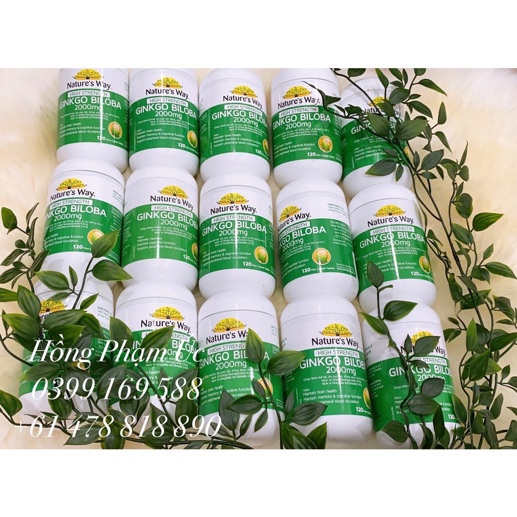 Hoạt Huyết Dưỡng Não Natures Way Ginkgo Biloba 2000mg 120 Viên - DATE 08/24
