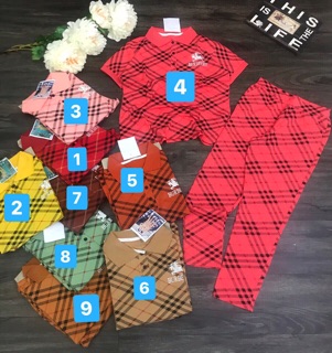 Set bộ thun thái đồng màu (<58kg)