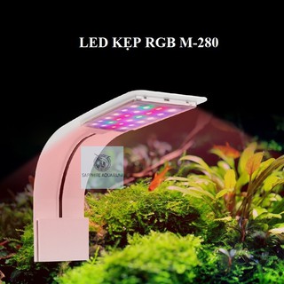 Đèn Bể Cá LED Kẹp Cho Bể Nhỏ Ánh Sáng Trắng Và 3 Chế Độ MÀU