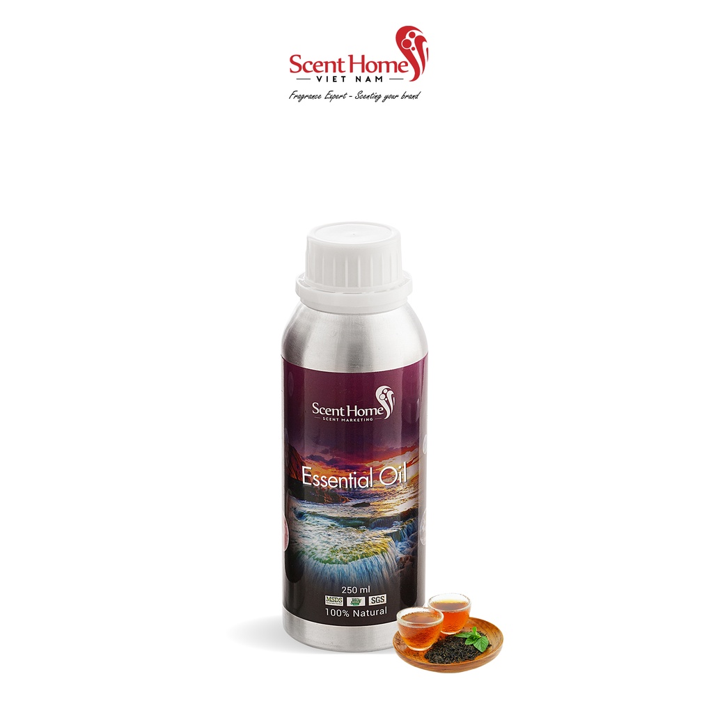 [Chính hãng] Tinh dầu Scent Homes - mùi hương Black Tea (Black Tea - 50ml,100ml,250ml)