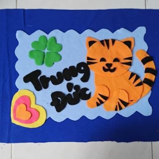Bộ 5 gối và vỏ gối handmade