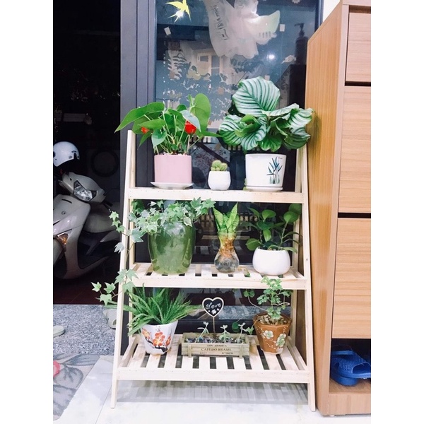 Kệ gỗ để cây 3 tầng ( ảnh thật )