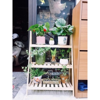 Kệ gỗ để cây 3 tầng