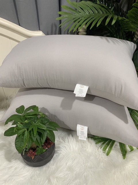 Ruột gối kháng khuẩn kích thước 50*70cm nặng 1,8kg