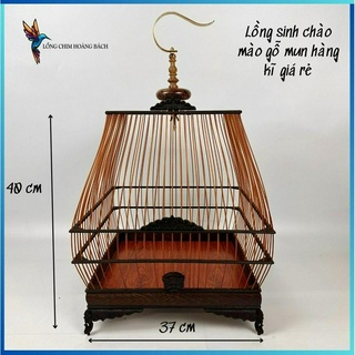  Lồng chim chào mào tự ráp sinh lá đề lồng sinh chào mào tự ráp chất liệu gỗ mun cao cấp có video hướng dẫn lắp ráp 