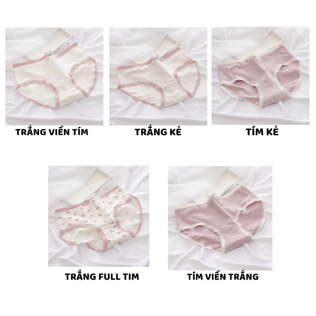 Quần Lót Nữ - Quần lót Nữ Cotton Nữ tông tím đính nơ điệu đà kháng khuẩn mềm mại DAN STORE MÃ L110