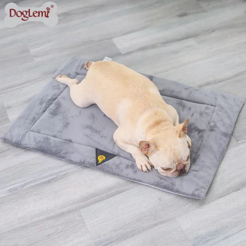 thảm nệm cho chó mèo size 60x80 tặng gối nằm + đồ chơi khúc xương (m thảm nệm)