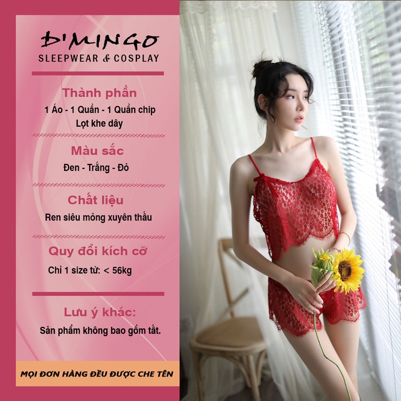 Bộ đồ ngủ ren xuyên thấu VN11