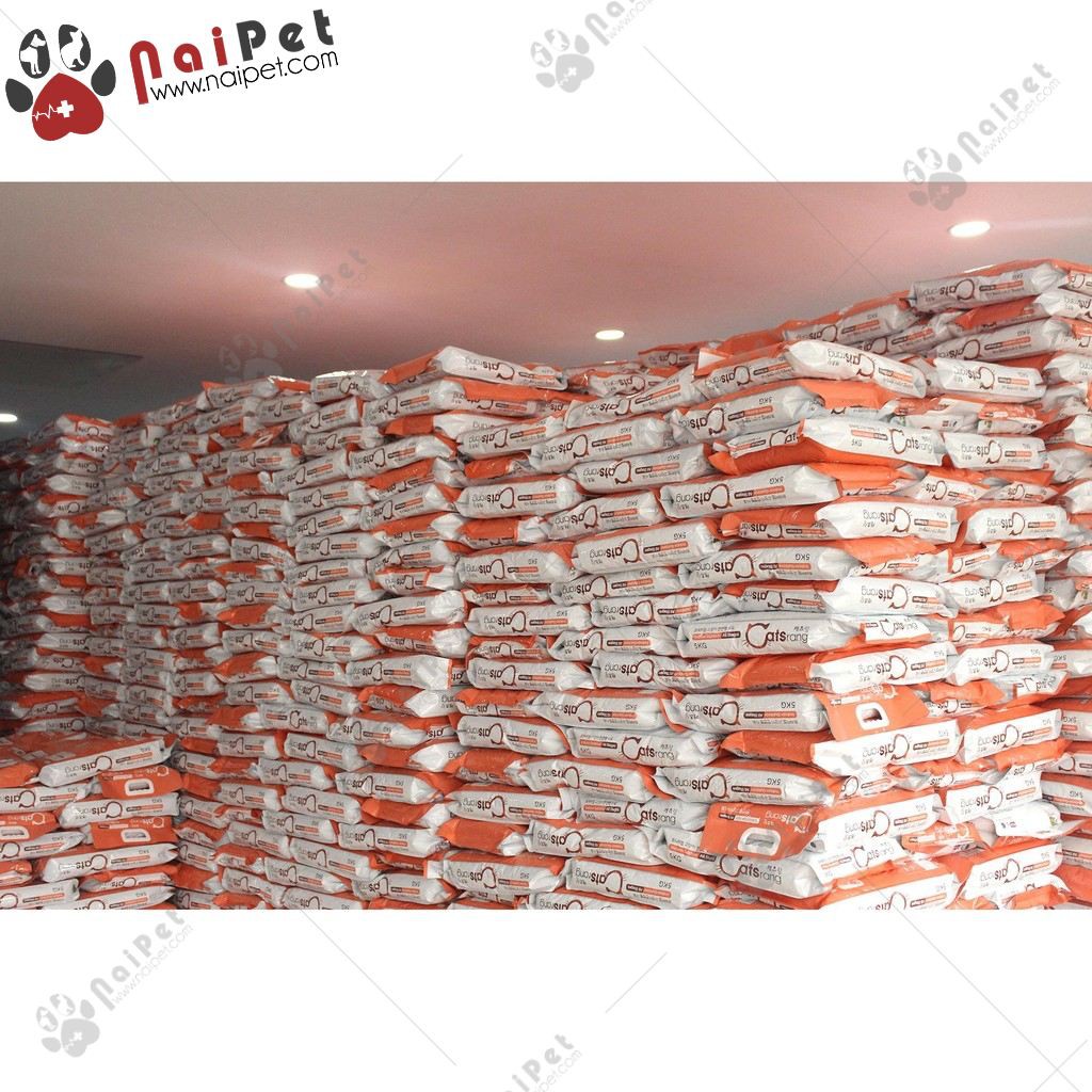 Thức ăn Hạt Cho Mèo Catsrang Hàn Quốc 5kg