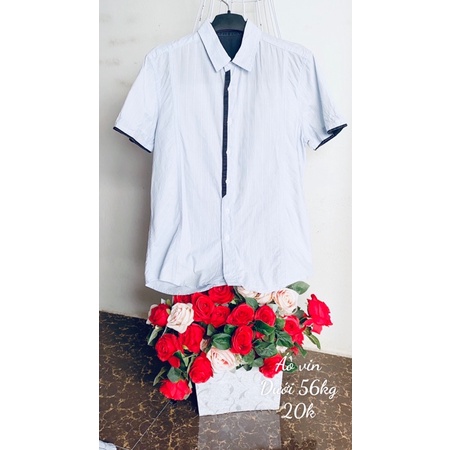 Áo sơ mi màu kiểu