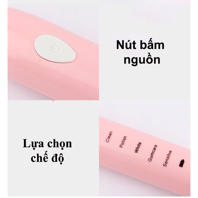 Bàn chải máy sóng âm OEM