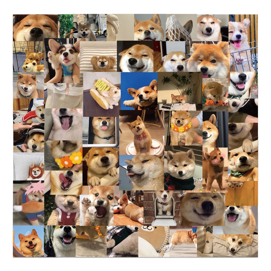 Bộ 55/25/10 Sticker Hoạt Hình Corgi Shiba Dán Laptop