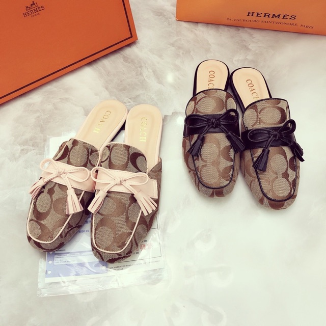 Sục nữ nâu viền 2 màu