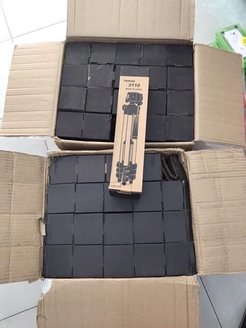 Gậy 3 chân ,live stream | BigBuy360 - bigbuy360.vn